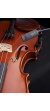 violin_20991421