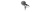 055345_baseball_windjammer_in_use