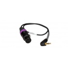 plag-in-s-1024x426_889411703