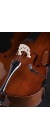 violoncello