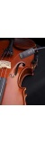 violin_20991421