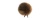bb-brun-01a
