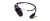 plag-in-s-1024x426_889411703
