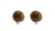 bb_str01-brun-2stk-1