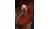 violoncello