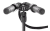 sg22