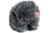 055375_fws_18-32_windjammer