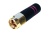 ant-2_4-sma-m