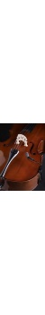 violoncello