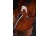 violoncello