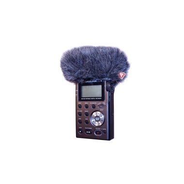 055384_tascam_dr_100_mini_windjammer_in_use