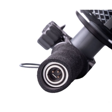 Schoeps CCM 21 Parabolic Dish Set