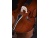 violoncello