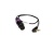 plag-in-s-1024x426_889411703