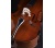 violoncello