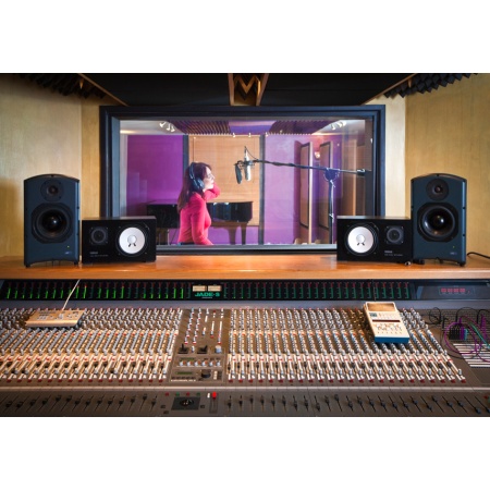 045002_studio_kit_usm_yellow_shark_2_1288262401