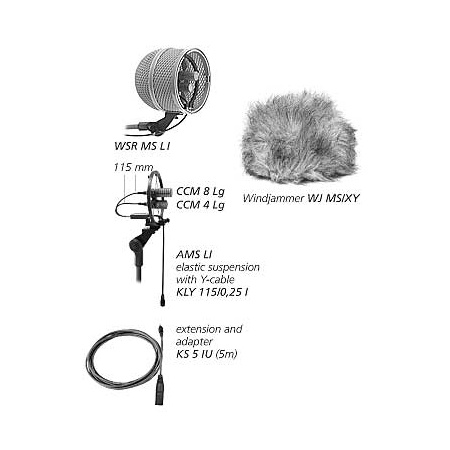 ms-stereo-set