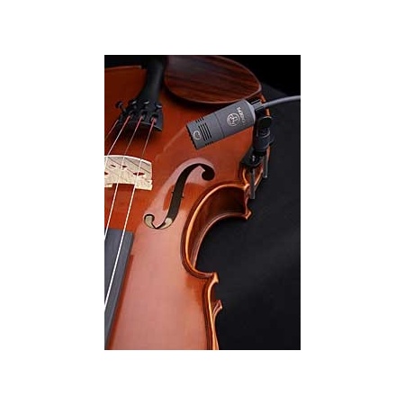 violin_20991421