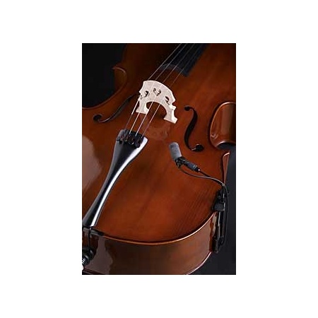 violoncello