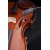 violin
