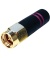 ant-2_4-sma-m