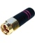 ant-2_4-sma-m