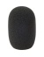 104403_3055_reporter_mic_foam