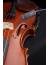violin