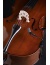 violoncello