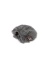 055445_rode_ixy_miniwindjammer