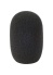104403_3055_reporter_mic_foam