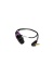 plag-in-s-1024x426