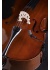 violoncello