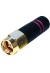 ant-2_4-sma-m