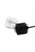 bbi-lc-ecmv1-back_1024x10242x
