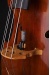 contrabass