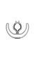 042216_universal_lyre_82
